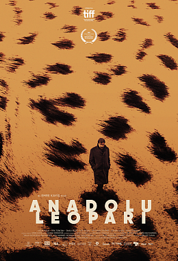 ANADOLU LEOPARI