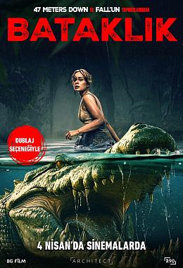 THE BAYOU