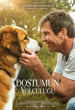 A DOG