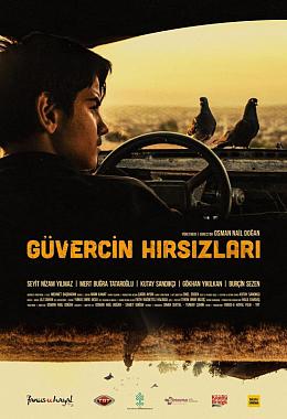 GÜVERCİN HIRSIZLARI