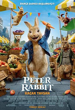 PETER RABBIT 2