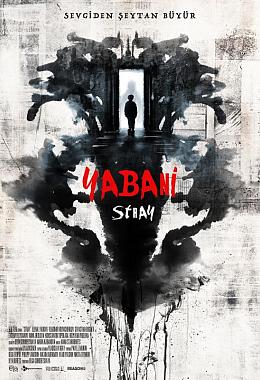 STRAY