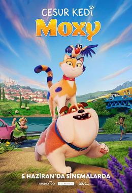 MISS MOXY