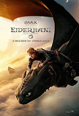 HOW TO TRAIN YOUR DRAGON 