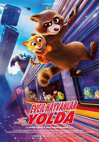 PETS ON A TRAIN