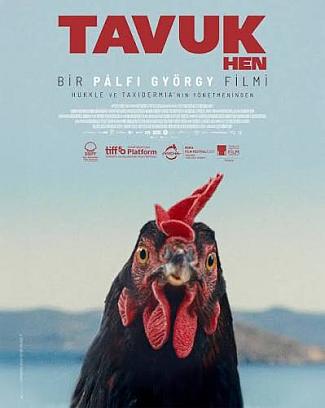 HEN